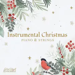 Instrumental Christmas - Piano & Strings by Van Vogel Ensemble album reviews, ratings, credits
