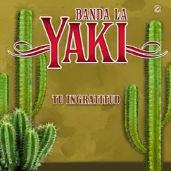 Tu Ingratitud - Single by Banda La Yaki album reviews, ratings, credits