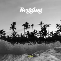 Begging - Single by Yemi Alade album reviews, ratings, credits
