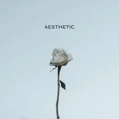 Aesthetic (feat. Depq Lops) Song Lyrics