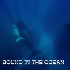 Sound in the Ocean by Underwater Sounds Channel, Water Soundscapes & Mother Nature Sound FX album reviews, ratings, credits