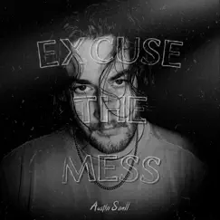 Excuse the Mess - Single by Austin Snell album reviews, ratings, credits