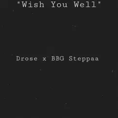 Wish You Well (feat. BBG Steppaa) - Single by DROSE album reviews, ratings, credits