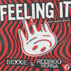 Feeling It (feat. Marie Noëlle) Song Lyrics