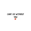 Cant Go Without You - Single album lyrics, reviews, download