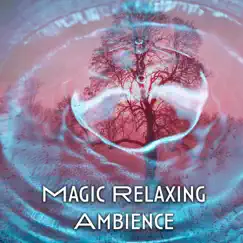 Magic Relaxing Ambience by Relaxation Sensations album reviews, ratings, credits