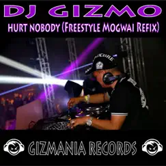 Hurt Nobody (Freestyle Mogwai Refix) - Single by DJ Gizmo album reviews, ratings, credits