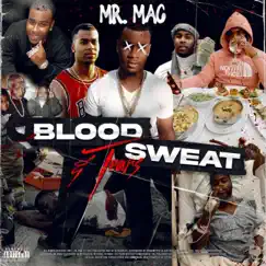 Blood Sweat Tears (Radio Edit) by Mr. Mac album reviews, ratings, credits