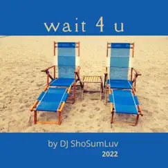 Wait 4 U Song Lyrics