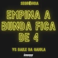 Sequência Empina a Bunda Fica de 4 Vs Baile da Gaiola Song Lyrics