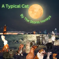 A Typical Cat - Single by The Storm Honeys album reviews, ratings, credits