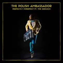 Perfectly Imperfect (feat. The Grouch) - EP by The Polish Ambassador album reviews, ratings, credits
