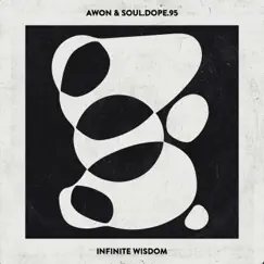 Infinite Wisdom (feat. Napoleon Da Legend) Song Lyrics