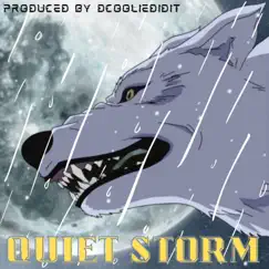 Quiet Storm - Single by D.Coolie album reviews, ratings, credits