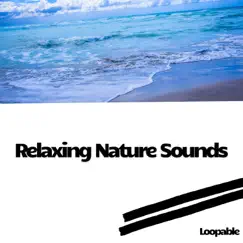 Ocean on the Rocks, White Noise (Loopable) Song Lyrics