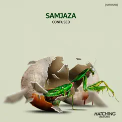 Confused - Single by Samjaza album reviews, ratings, credits