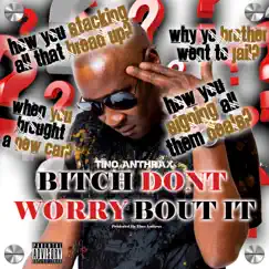 Bitch Dont Worry Bout It Song Lyrics