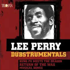 Dubstrumentals by Lee 