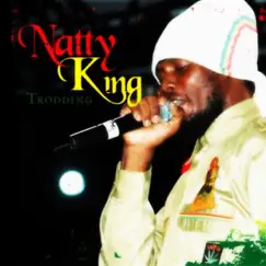 Trodding by Natty King album reviews, ratings, credits