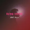 Dying Inside - Single album lyrics, reviews, download