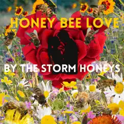Honey Bee Love - Single by The Storm Honeys album reviews, ratings, credits