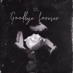 Goodbye Forever - Single by QDC album reviews, ratings, credits