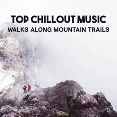 Top Chillout Music - Walks Along Mountain Trails, Relaxation in Fresh Air, Cool Down, Electronic Music for Power Walking, Stay in Shape by Workout Motivation Center album reviews, ratings, credits