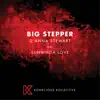 Big Stepper (feat. SuNWhoa Love) - Single album lyrics, reviews, download