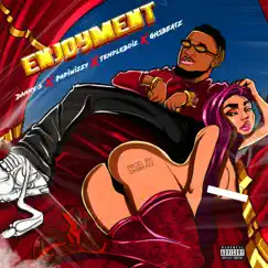 Enjoyment (feat. Papiwizzy, TempleBoiz & Ghsbeatz) - Single by Danny S album reviews, ratings, credits