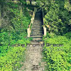 Where Does It Lead - Single by Awake From A Dream album reviews, ratings, credits