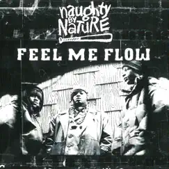 Feel Me Flow (Feel the Funk Remix) Song Lyrics