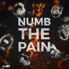 Numb the Pain (feat. Catas, Le Malls & Chenda) Song Lyrics
