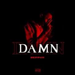 Damn - Single by Beppus album reviews, ratings, credits