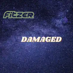 Damaged - Single by Fitzer album reviews, ratings, credits