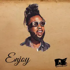 Enjoy - Single by Sean X album reviews, ratings, credits