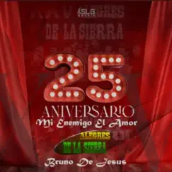 Mi Enemigo el Amor 25 Aniversario (En Vivo) Song Lyrics