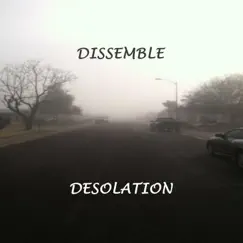 Desolation - Single by Dissemble album reviews, ratings, credits