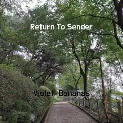 Return To Sender - Single by Violet Bananas album reviews, ratings, credits