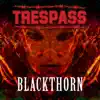 Blackthorn - Single album lyrics, reviews, download