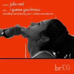 I Guess You Know - Single by Julio Red, DJ F.E.X & Jedsa Soundorom album reviews, ratings, credits
