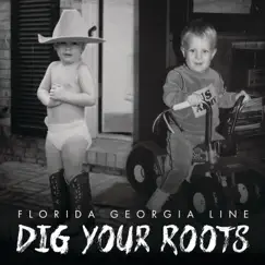 Dig Your Roots by Florida Georgia Line album reviews, ratings, credits