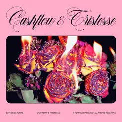 Cashflow & Tristesse by Sofi de la Torre album reviews, ratings, credits