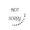 Not Sorry - Single album lyrics, reviews, download
