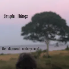 Simple Things - Single by The Diamond Underground album reviews, ratings, credits