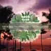 BGM At Night That Reminds You of the Ocean In Hawaii album lyrics, reviews, download