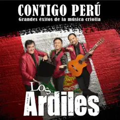 Todos los peruanos somos el Perú Song Lyrics