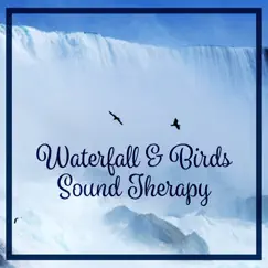 Waterfall & Birds Song Lyrics
