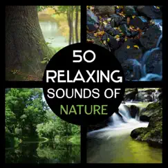 Relaxing Sounds of Nature Song Lyrics