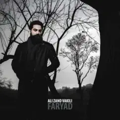 Faryad Song Lyrics