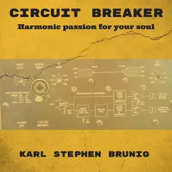 Circuit Breaker by Karl Stephen Brunig album reviews, ratings, credits